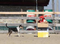 /album/fotogaleria-gecko-nirreterrit-aka-/aka-lenka-jpg1/